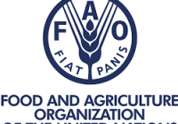 Food Security Sector Coordinator At Food And Agriculture Organization Of The United Nations (FAO-UN)