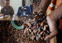 GHANA GOVERNMENT PLANS TO CONSTRUCT US$60M COCOA PROCESSING PLANT