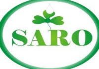 Graduate Trainee (North) Recruitment Exercise At Saroafrica International