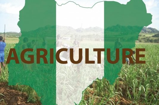 Nigerian agricultural sector to receive investment from Brazil