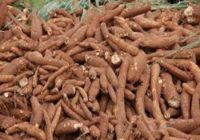 CONSTRUCTION OF CASSAVA PLANT IN TANZANIA REACHES 90 PERCENT COMPLETION