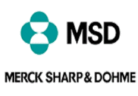 Technical Operations Engineer at MSD
