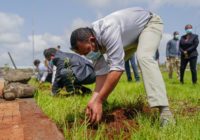 ETHIOPIA TO PLANT 5 BILLION TREES DESPITE THE COVID-19 CHALLENGES