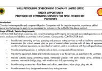 PROVISION OF CEMENTING SERVICES FOR SPDC