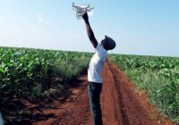 HOW USING SMART TECHNOLOGY CAN HELP STRENGTHENING AFRICA’S AFRICULTURAL VALUE CHAIN