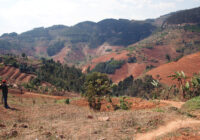 RWANDA, DRC & BURUNDI US$25M INITIATIVE CLIMATE CRISIS