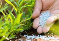 TANZANIA AND MOROCCO SIGN DEAL TO BUILD FERTILIZER FACTORY