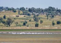 HAROMAYA LAKE SHORE PROJECT TO KICK-OFF NEXTWEEK IN ETHIOPIA