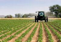 HOW LACK OF WATER AFFECTED MOROCCO AGRICULTURAL INDUSTRY IN 2023