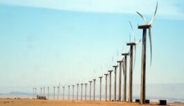 EGYPT GOVT. ALLOCATE LANDS FOR TWO MAJOR WIND POWER PROJECT